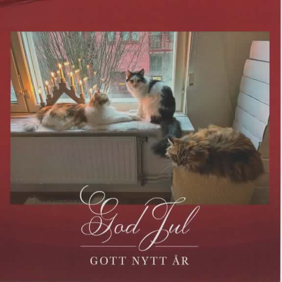 SJulkort Nymphe, Orinda o Saroma